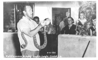 Arthur Jones Reptile Jungle